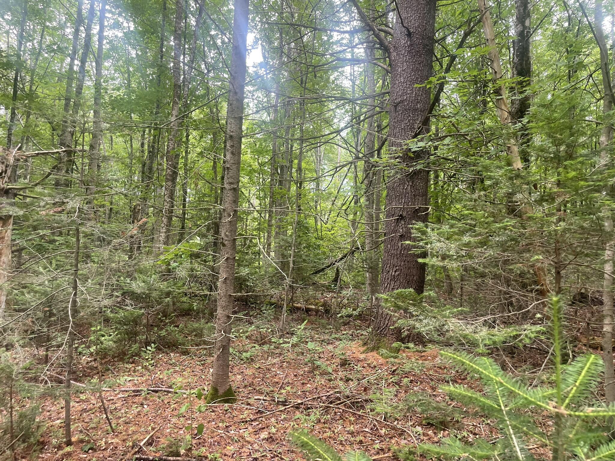 1075 Hill Road Clinton, ME 04927 - Photo 95 of 172 IMG_6193
