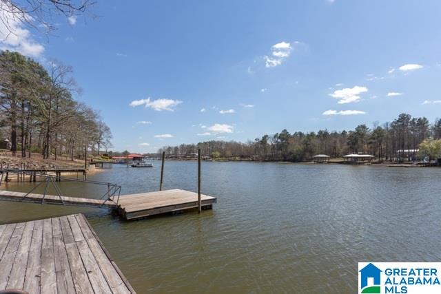 446 Coosa Island Road Cropwell, AL 35054 - Photo 1 of 44