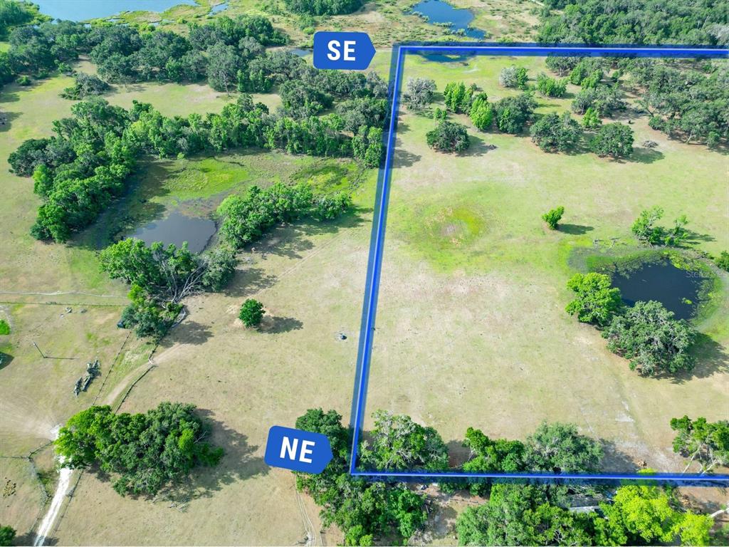 772b Webster Webster, FL 33597 - Photo 15 of 44 a view of a back yard