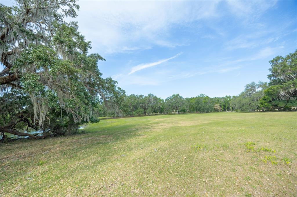 772b Webster Webster, FL 33597 - Photo 17 of 44 a view of an ocean from a yard