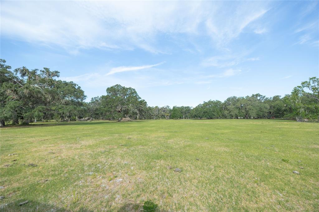 772b Webster Webster, FL 33597 - Photo 19 of 44 a view of an ocean from a yard