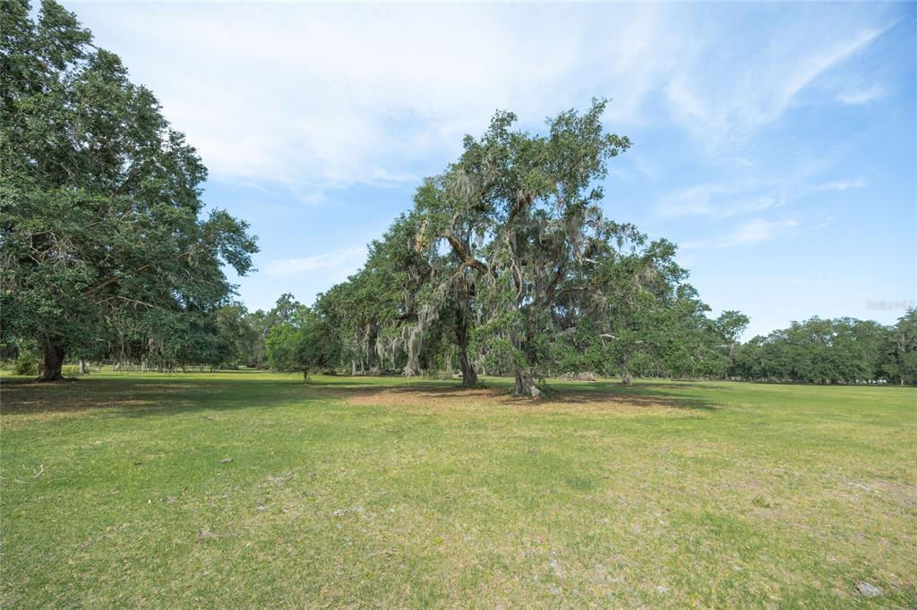 772b Webster Webster, FL 33597 - Photo 20 of 44 a view of a field with trees in the background