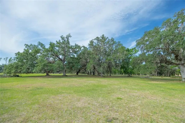 a view of a green field with trees in the background