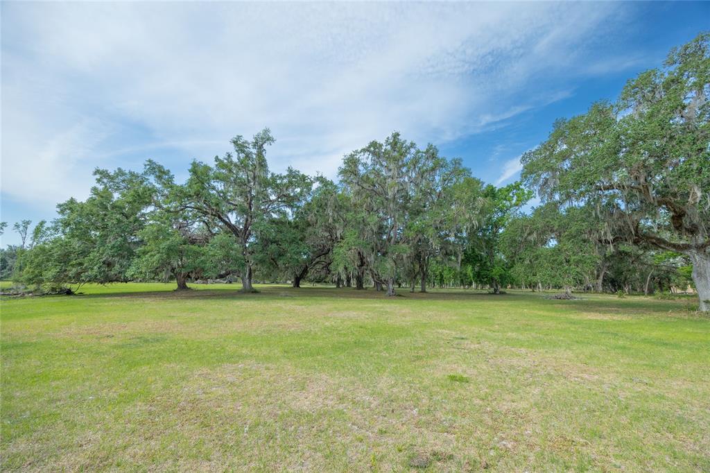 772b Webster Webster, FL 33597 - Photo 2 of 44 a view of a green field with trees in the background