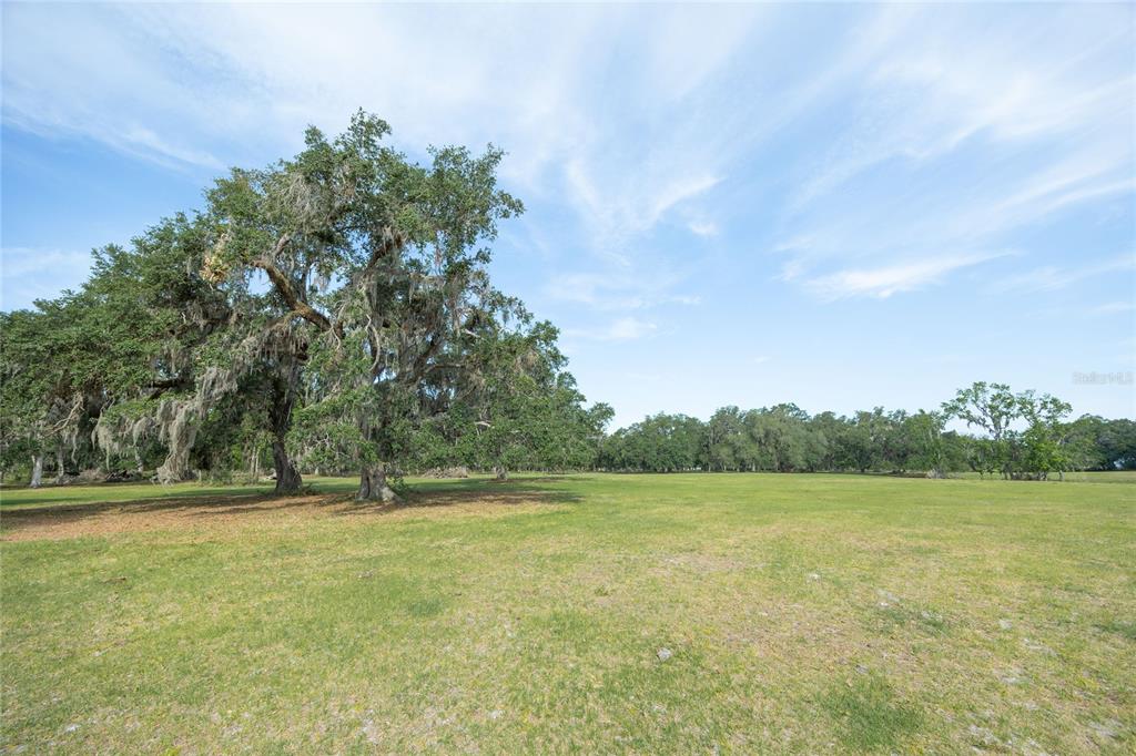 772b Webster Webster, FL 33597 - Photo 21 of 44 a view of outdoor space with yard and trees