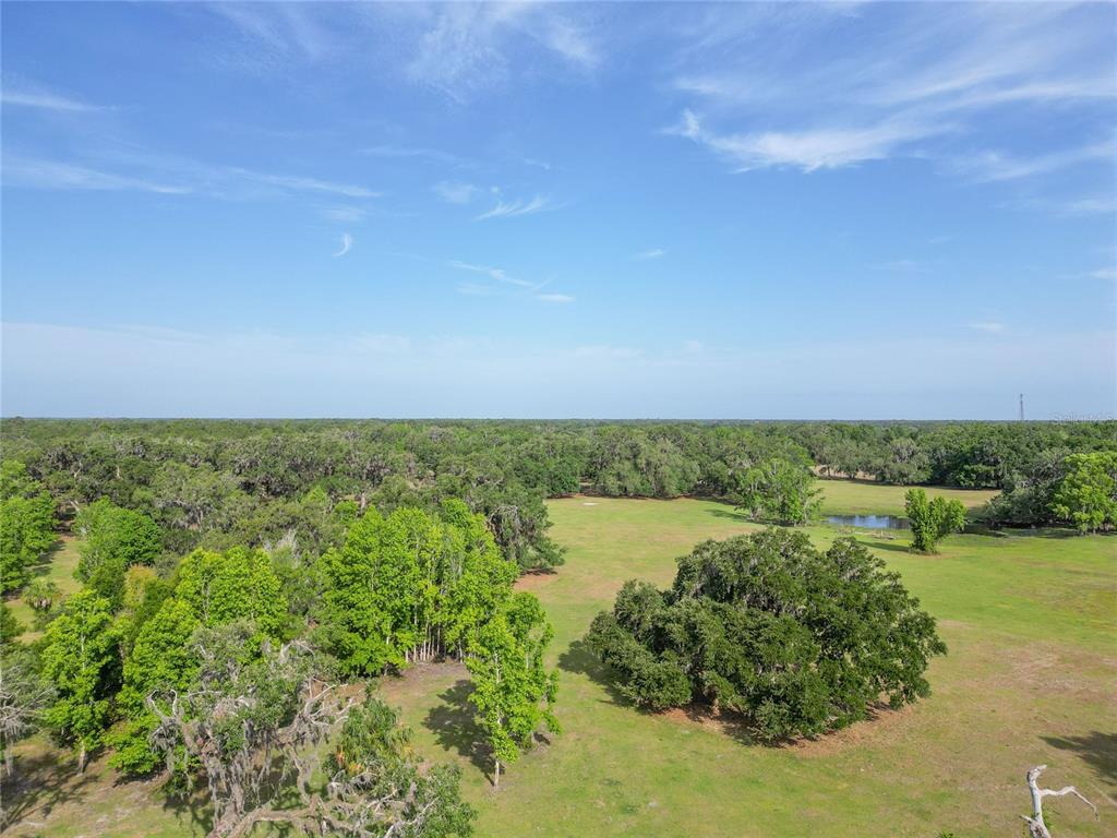 772b Webster Webster, FL 33597 - Photo 22 of 44 a view of a field with an ocean