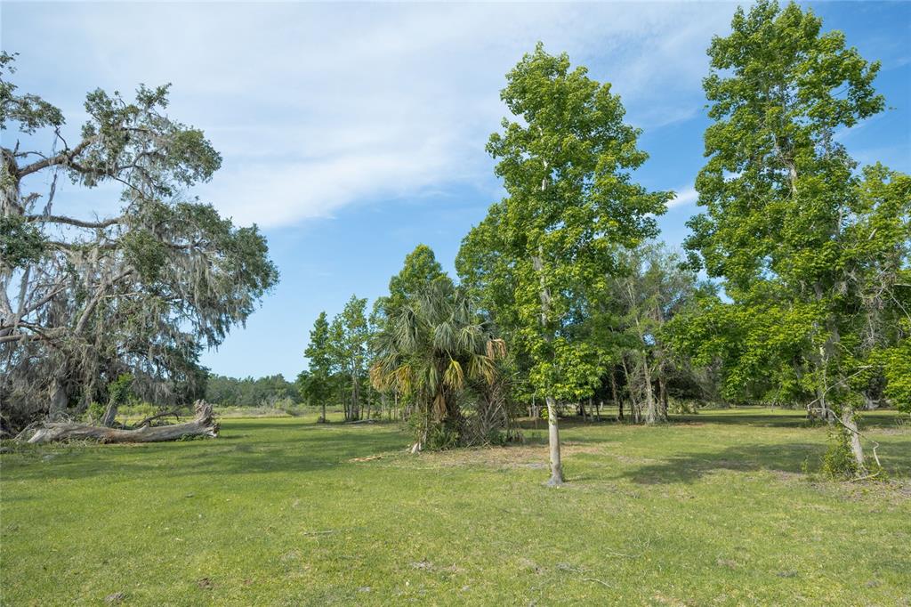 772b Webster Webster, FL 33597 - Photo 24 of 44 a garden view