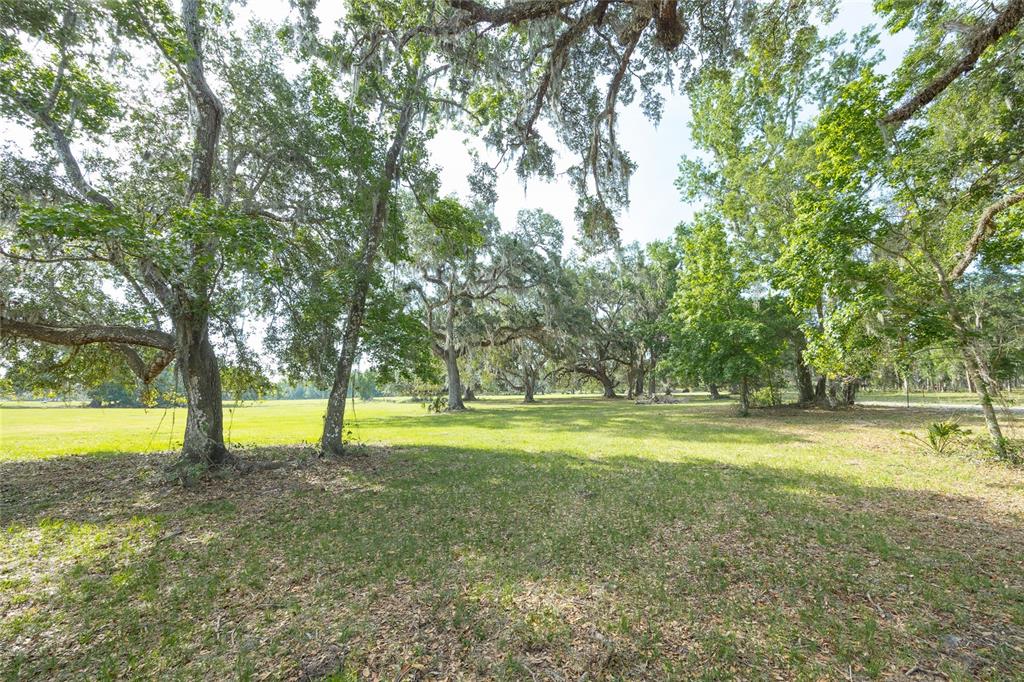 772b Webster Webster, FL 33597 - Photo 25 of 44 a view of an outdoor space and a yard