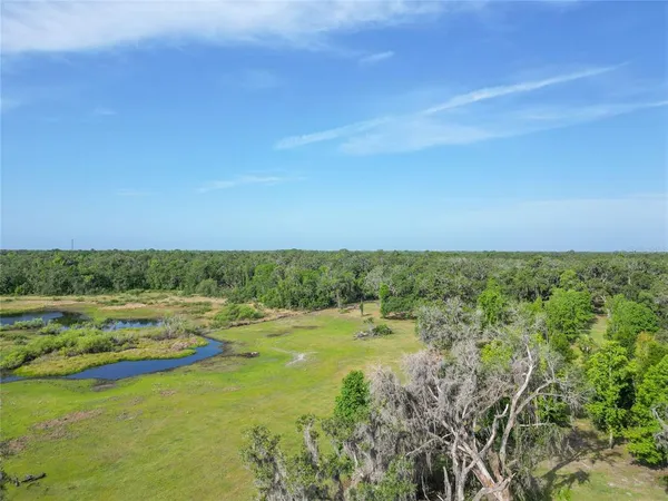 a view of yard with ocean view