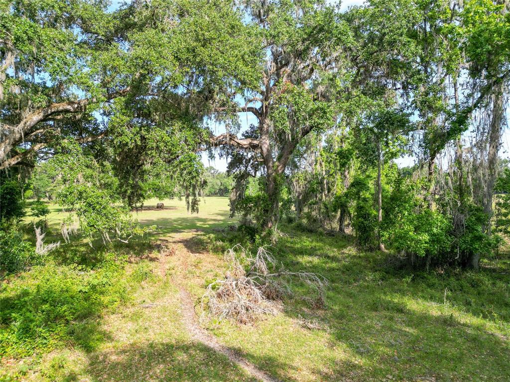 772b Webster Webster, FL 33597 - Photo 29 of 44 a view of backyard with green space
