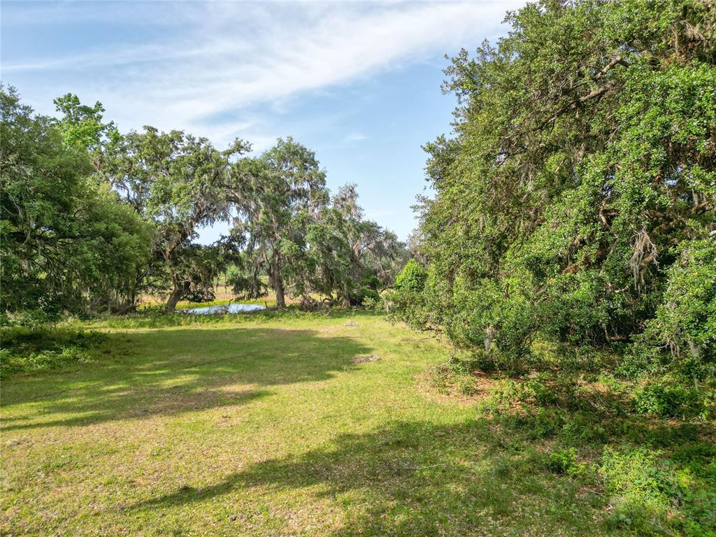 772b Webster Webster, FL 33597 - Photo 30 of 44 a yard with swimming pool and trees in the background
