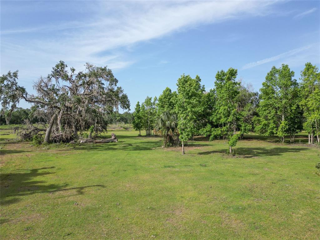 772b Webster Webster, FL 33597 - Photo 33 of 44 a backyard of a house with lots of green space and garden