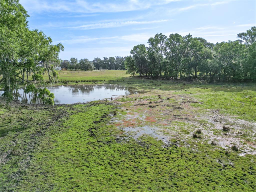 772b Webster Webster, FL 33597 - Photo 35 of 44 a view of a lake with a yard
