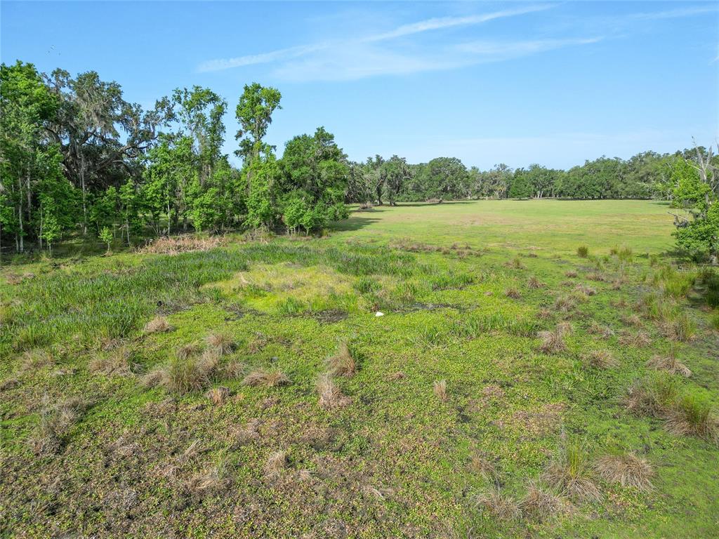 772b Webster Webster, FL 33597 - Photo 36 of 44 a view of a lake with houses in the back