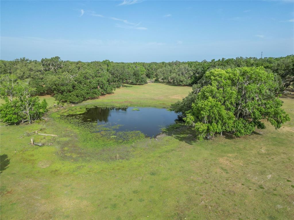772b Webster Webster, FL 33597 - Photo 37 of 44 a view of a lake with a city