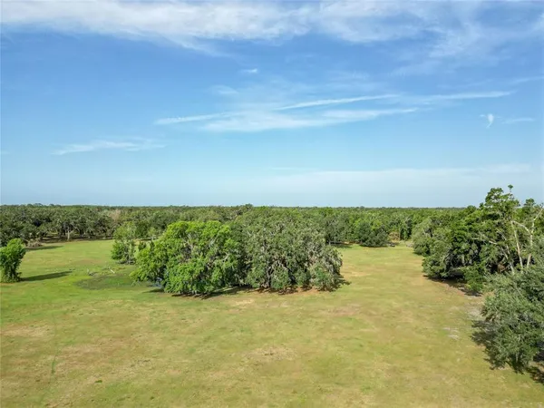 a view of beach and ocean