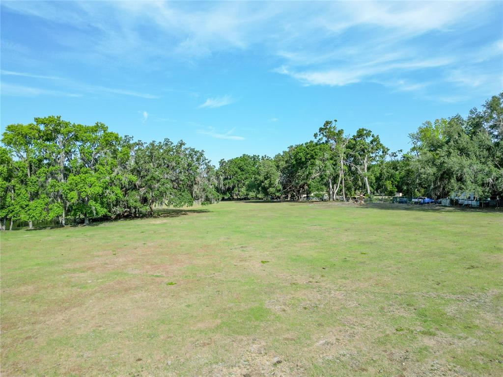 772b Webster Webster, FL 33597 - Photo 40 of 44 a view of a field with an trees