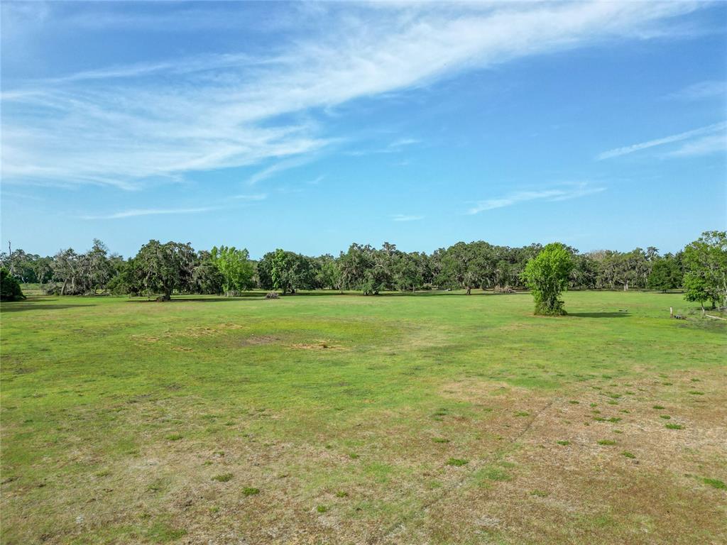772b Webster Webster, FL 33597 - Photo 41 of 44 a view of an ocean from a yard