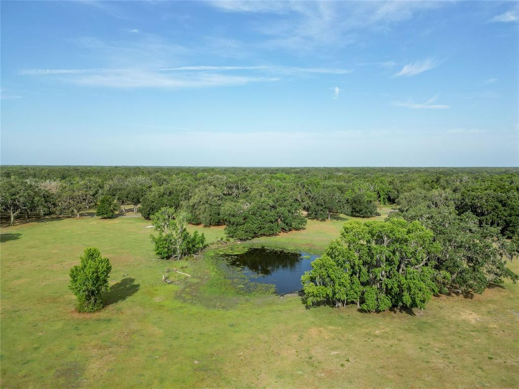 772b Webster Webster, FL 33597 - Photo 43 of 44 a view of a lake with houses in the back