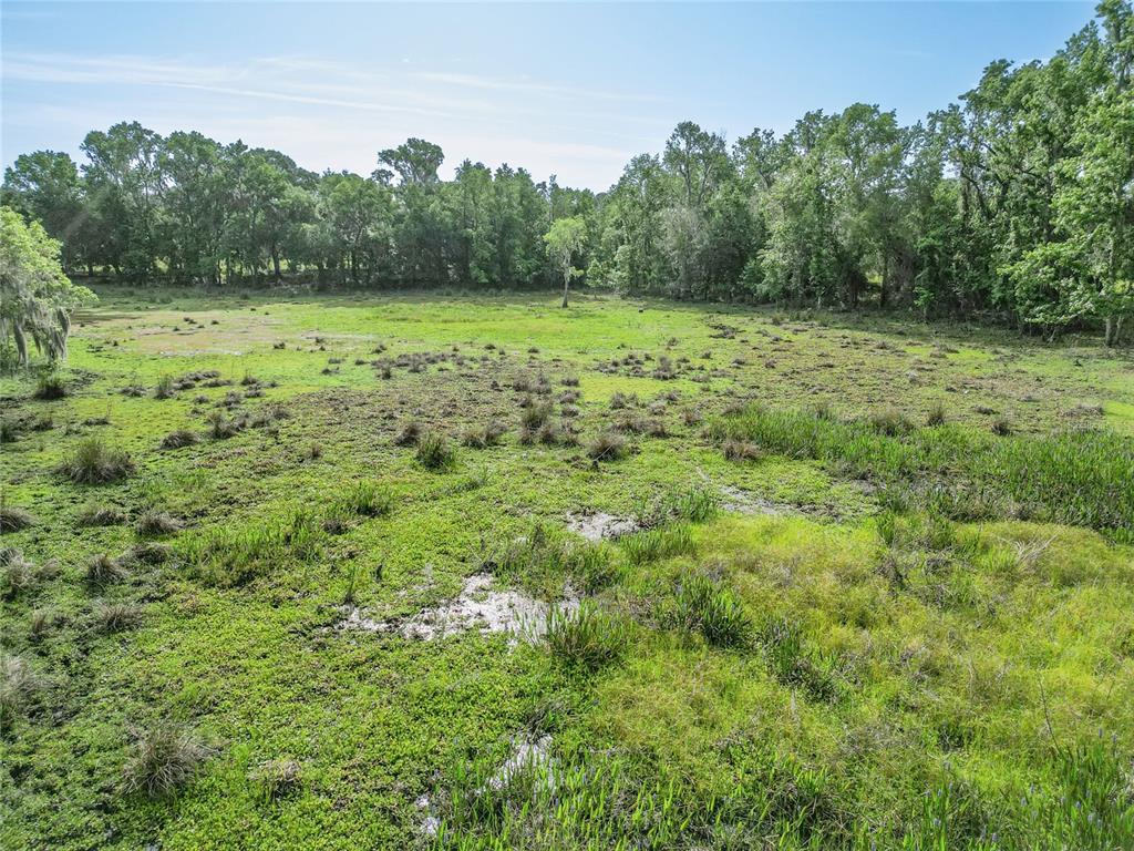 772b Webster Webster, FL 33597 - Photo 44 of 44 a view of outdoor space with trees all around