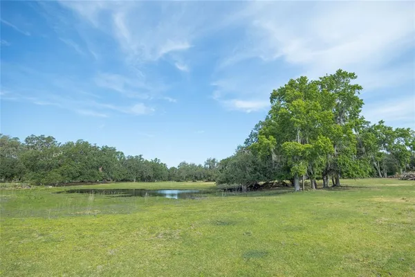 a view of green field with trees in the background