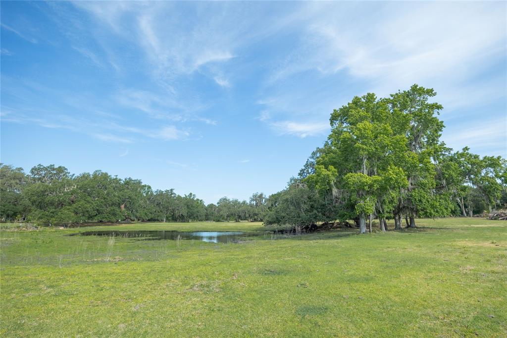 772b Webster Webster, FL 33597 - Photo 8 of 44 a view of green field with trees in the background