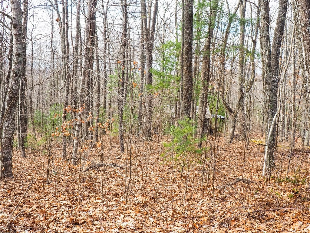 Tbd Carrollview Road, Unit 102 Fancy Gap, VA 24328 - Photo 2 of 9 Gallery Image 2