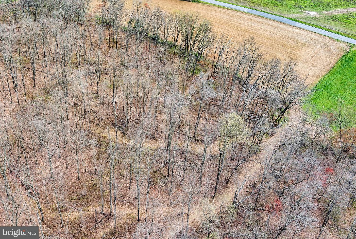 Schaffersville Rd Mount Mount Airy, MD 21771 - Photo 4 of 8 Walking path to rear of lot