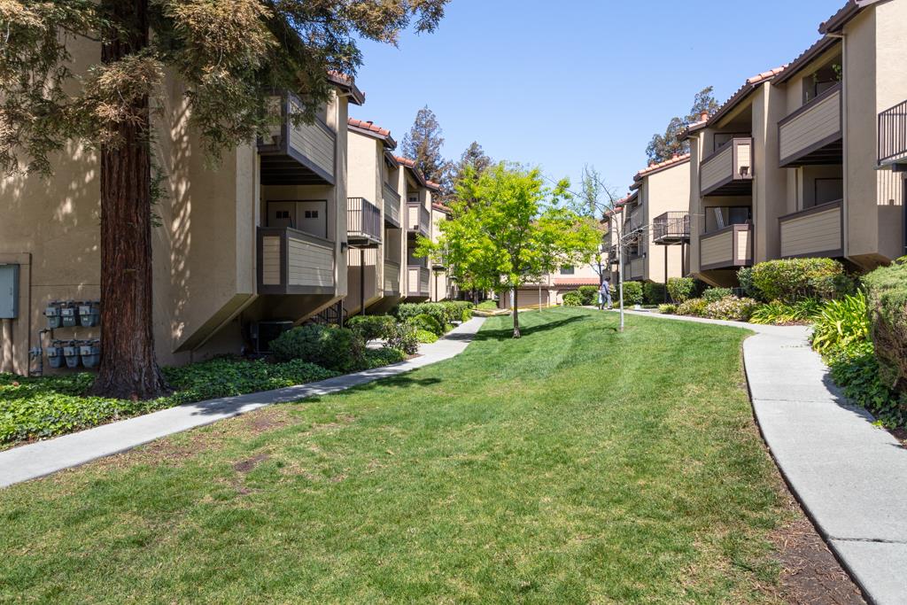 93 Shaniko Common, Unit 24 Fremont, CA 94539 - Photo 24 of 25 a view of a building with a yard