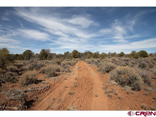 0 Mailbox Park Road Redvale, CO 81431 - Photo 17 of 25 a view of a dry yard with trees in the background