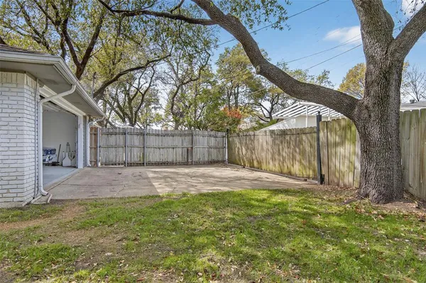 a view of a backyard with a tree