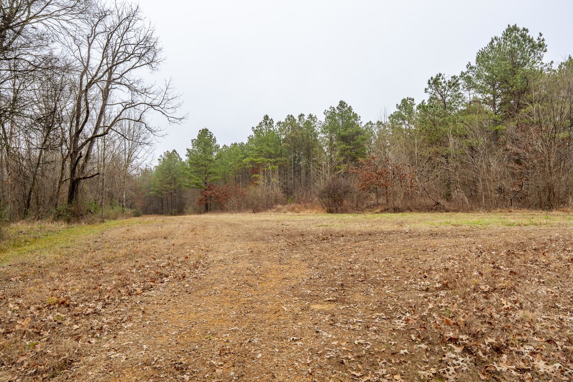 10970 Peavine Road Pocahontas, TN 38061 - Photo 1 of 26
