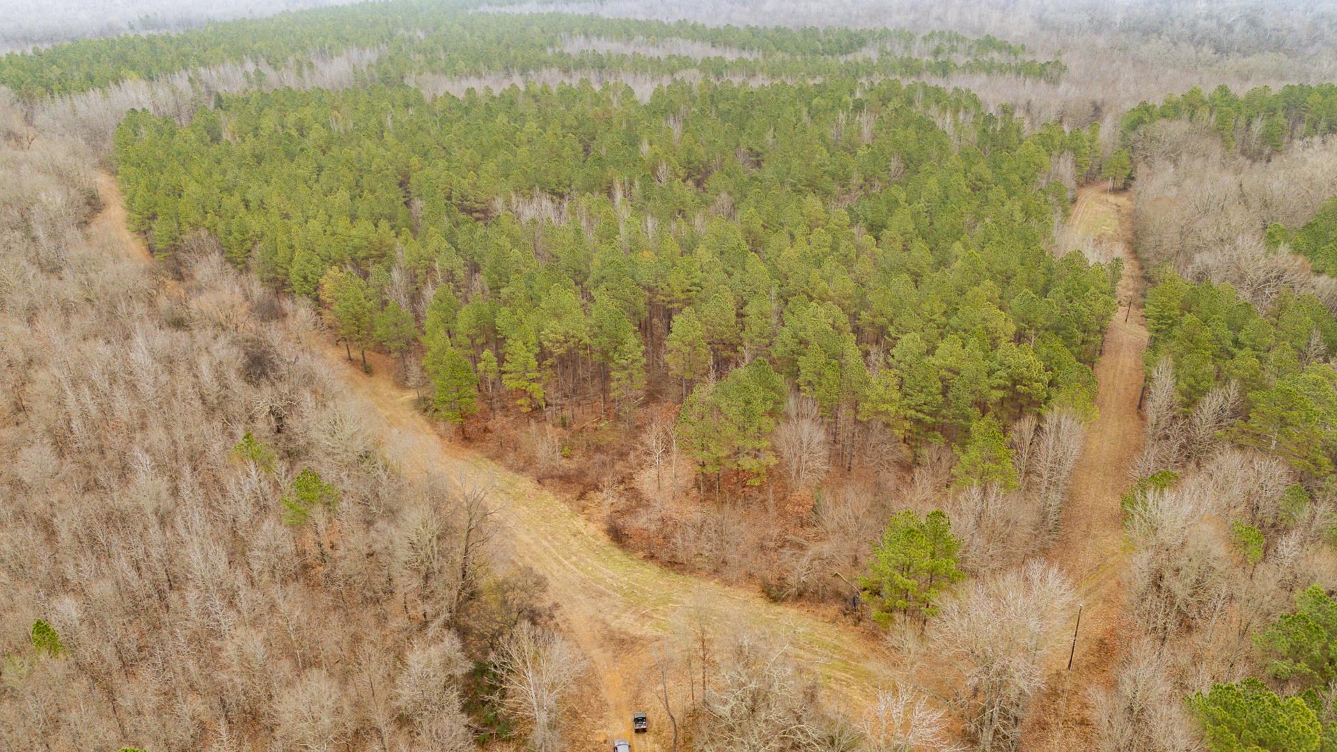 10970 Peavine Road Pocahontas, TN 38061 - Photo 12 of 26