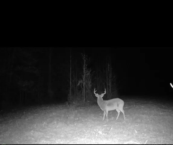 a view of sitting area in backyard