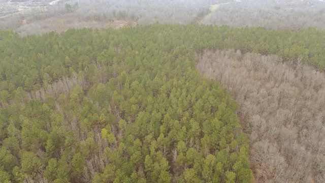 a view of a lake from a yard