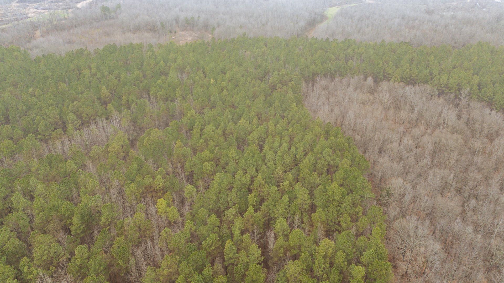 10970 Peavine Road Pocahontas, TN 38061 - Photo 15 of 26