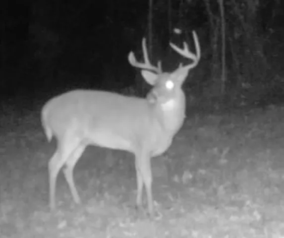 a view of outdoor space with a sink