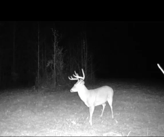 a view of empty room with trees