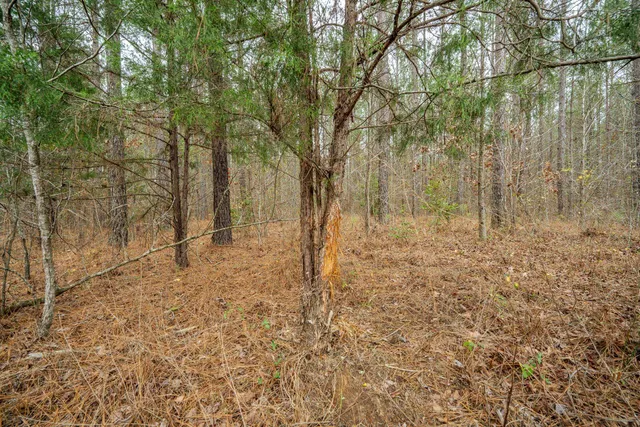 a close up of a window