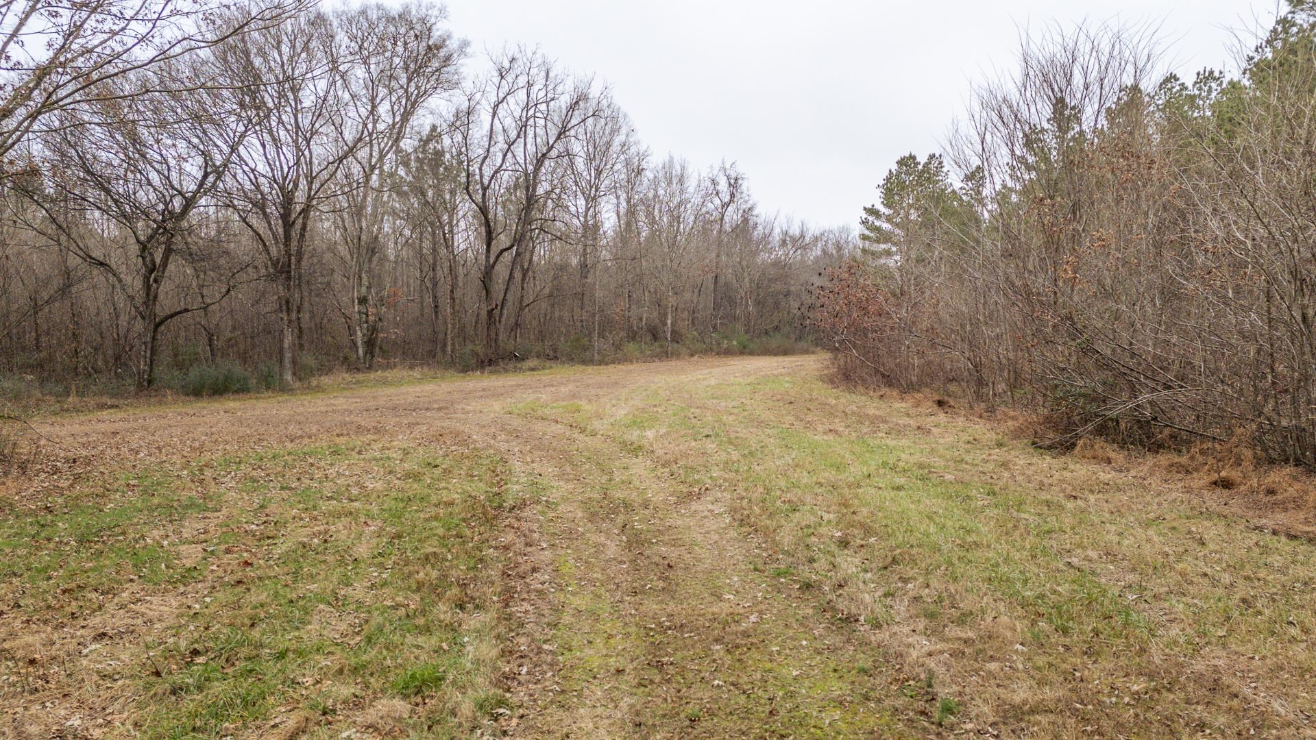 10970 Peavine Road Pocahontas, TN 38061 - Photo 22 of 26