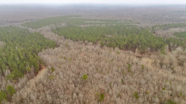 a view of water from a lake