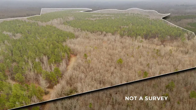 $737,500 | 10970 Peavine Road, Pocahontas, TN 38061