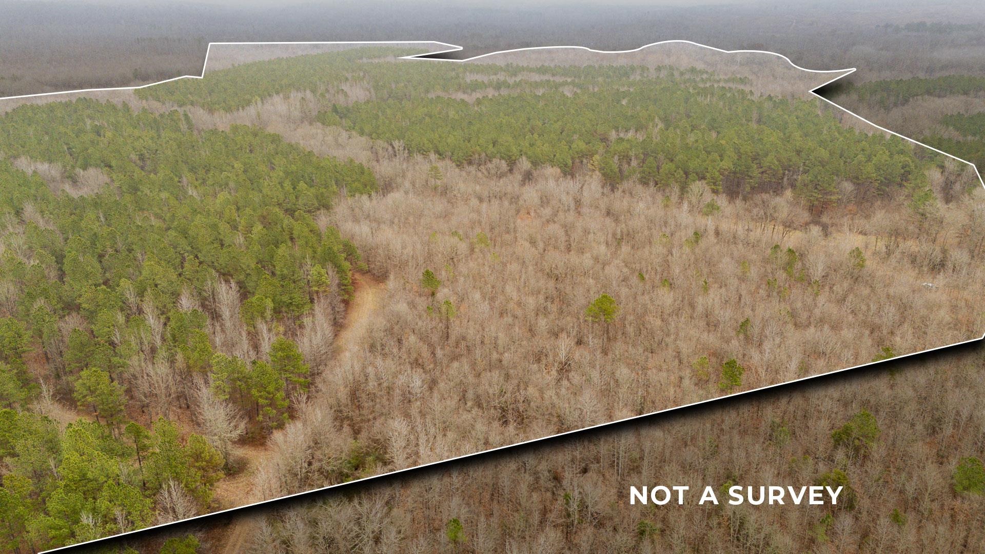 10970 Peavine Road Pocahontas, TN 38061 - Photo 25 of 26