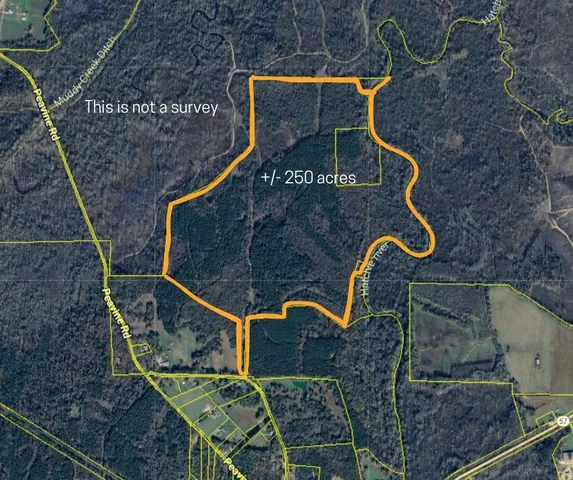 $737,500 | 10970 Peavine Road, Pocahontas, TN 38061
