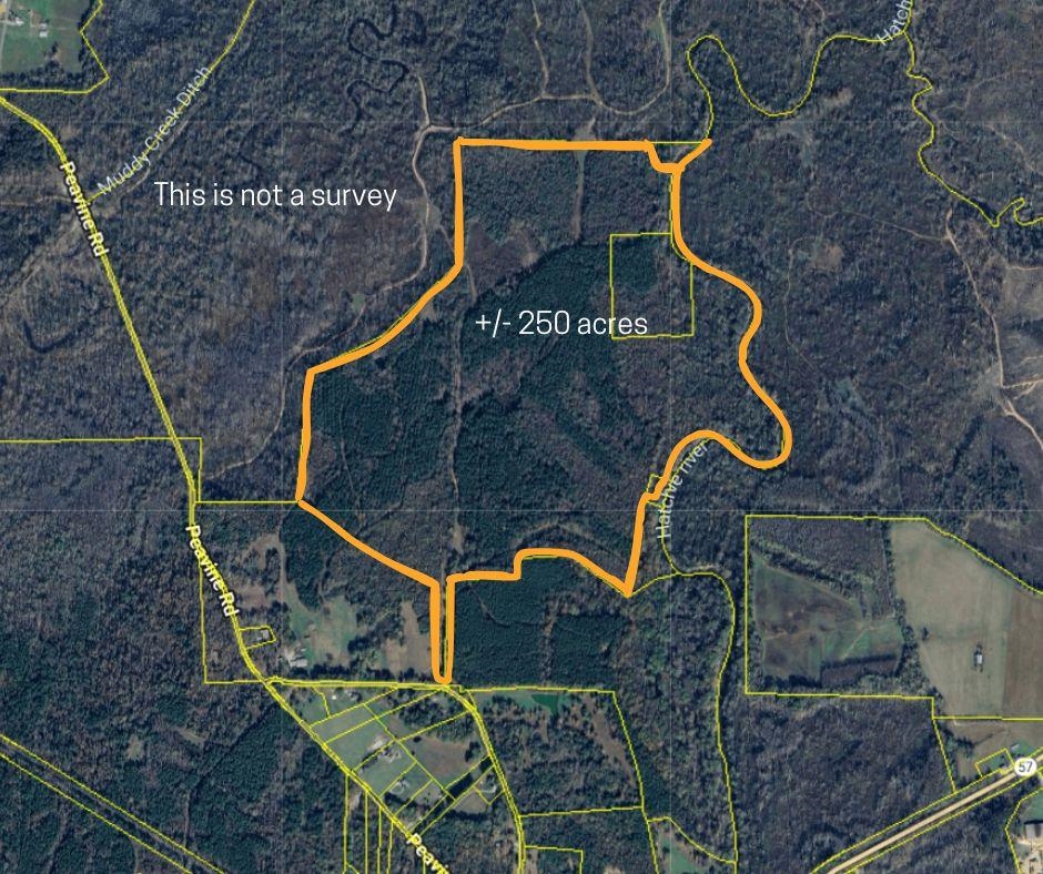 10970 Peavine Road Pocahontas, TN 38061 - Photo 26 of 26 Map / location