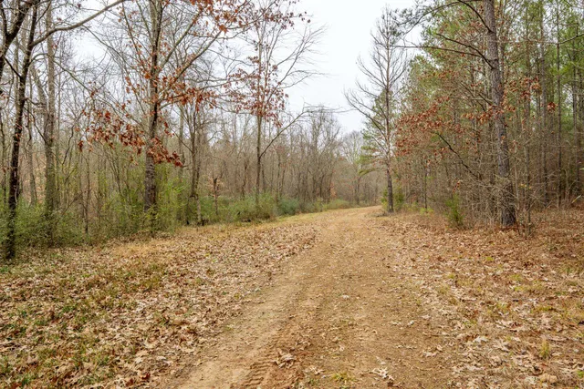 a view of a yard covered with snow