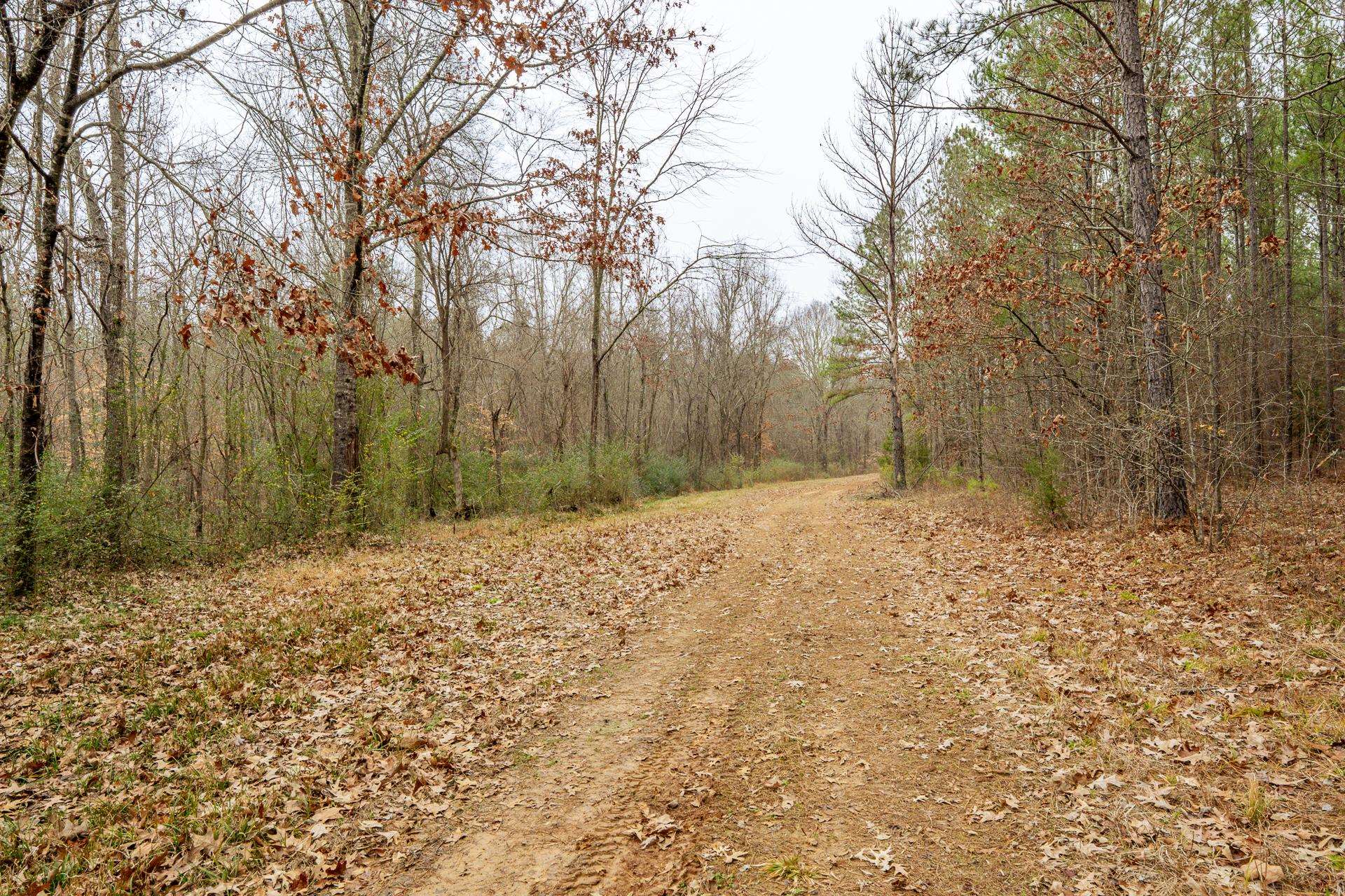 10970 Peavine Road Pocahontas, TN 38061 - Photo 4 of 26