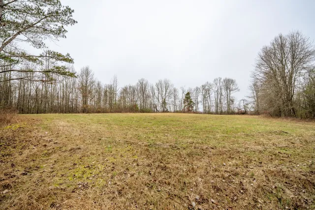 a view of yard and trees