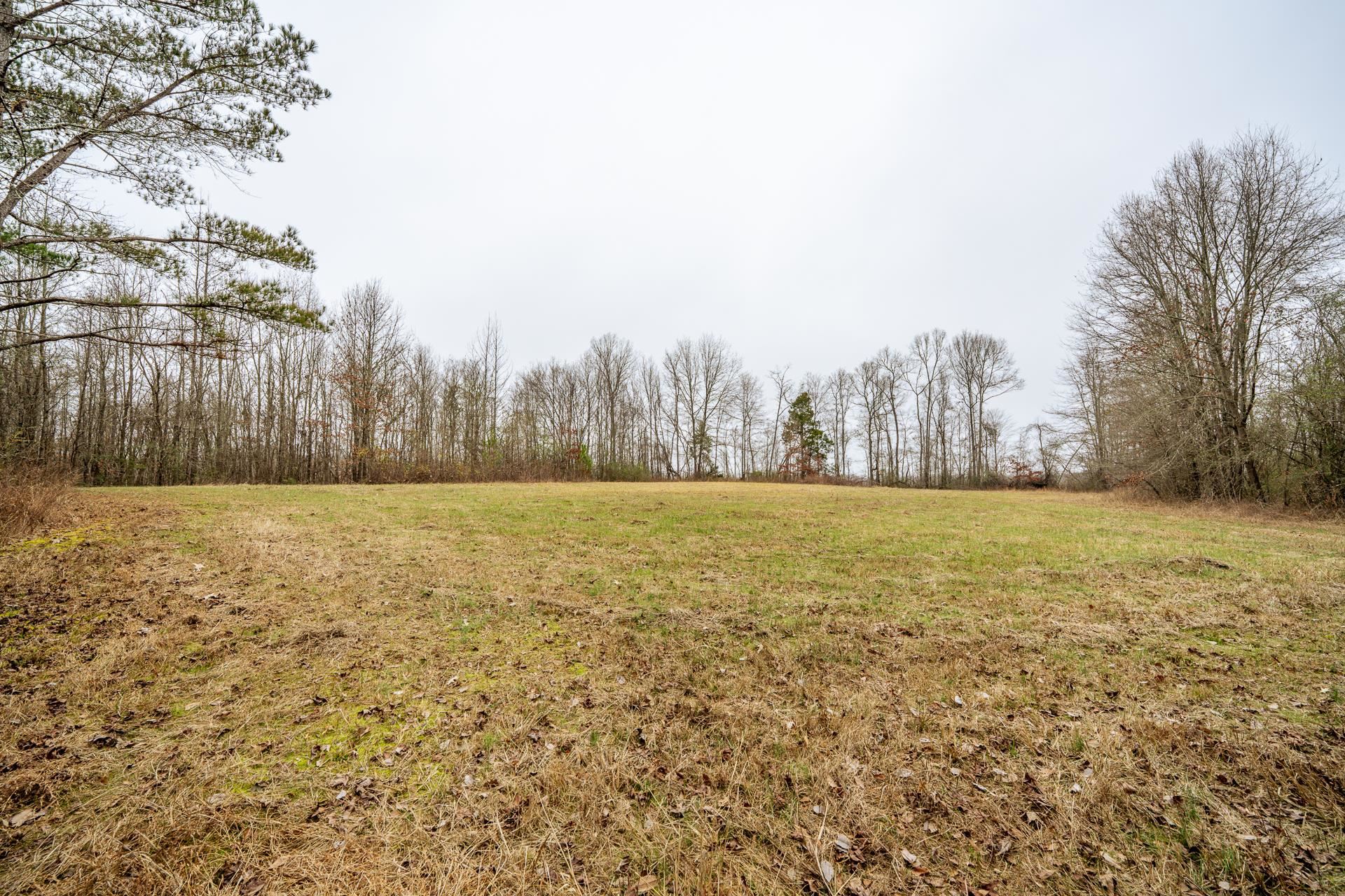 10970 Peavine Road Pocahontas, TN 38061 - Photo 5 of 26