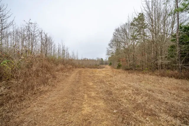 a view of a lake view
